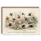The Pattern Book Greetings Cards
