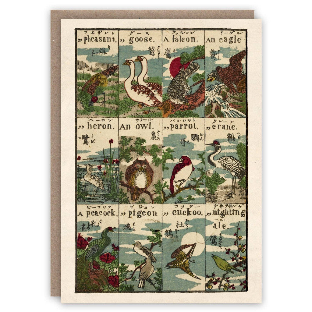 The Pattern Book Greetings Cards