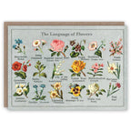 The Pattern Book Greetings Cards