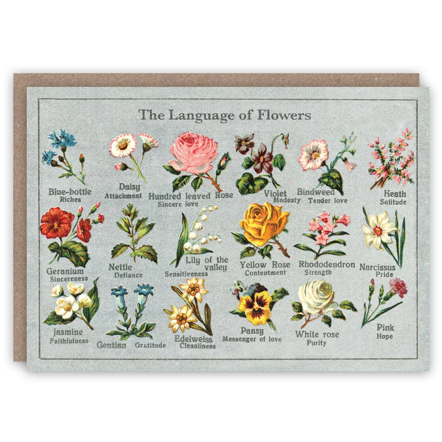 The Pattern Book Greetings Cards