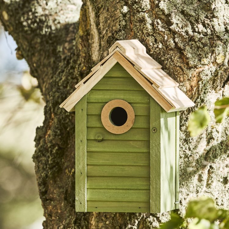 Bird House 2