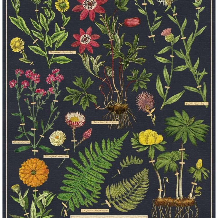 Cavallini-Herbarium-Jigsaw-nest-living